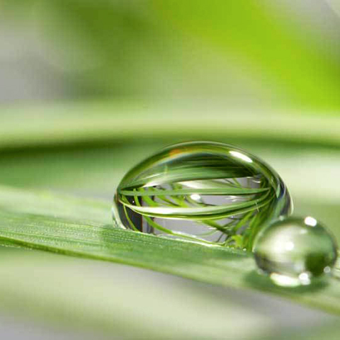 Utilizzo responsabile dell’acqua