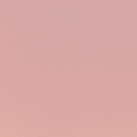64.00 Silky Rose