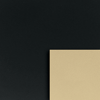 28.60 Burning Black + Ravishing Gold